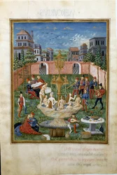 Influence of Venus: the garden of love and the fountain of Youth