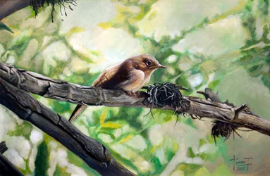 House Wren, the Harmonious Singing