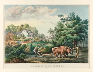 American Farm Scenes. No. 1