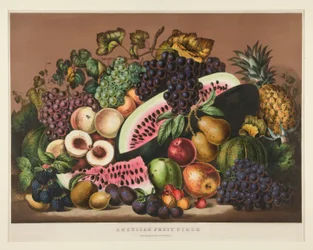 American Fruit Piece; Plate CCLXXXI