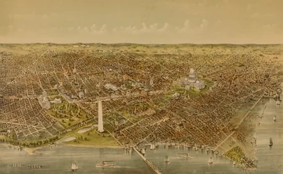 City of Washington (Bird