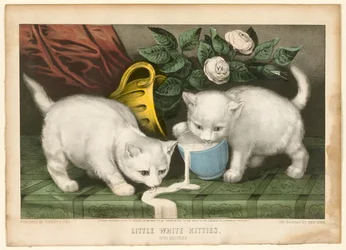 Little White Kitties into Mischief