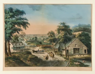 View on Long Island, N.Y.