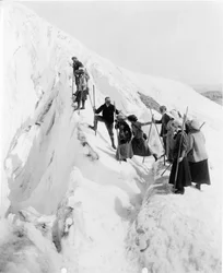 Group of Men and Women Climbing Paradise Glacier in Mt. Rainier National Park, Washington