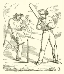 Cricket