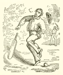Cricket