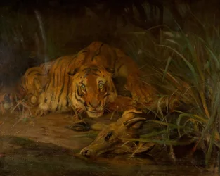 Tiger And Prey, 1931