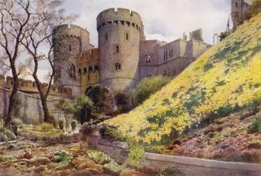 Daffodils on the Hill below Round Tower, Windsor Castle