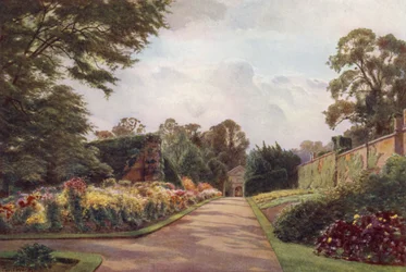 Early Chrysanthemums, Claremont