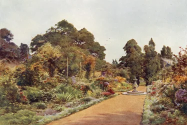 The Centre Walk, Claremont, looking North