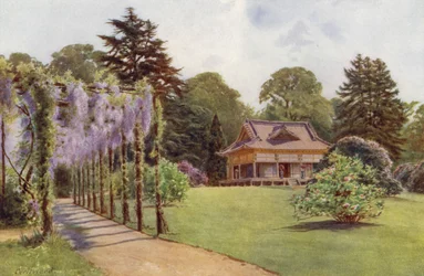 The Japanese House and Wistaria Pergola, Bagshot Park
