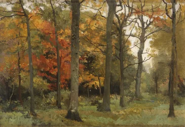 Autumn Leaves