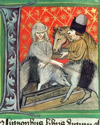 Breeding Pigs and Horses, from Opus Ruralium Commodorum by Pietro de Crescenzi