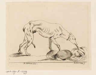 Eating Dog