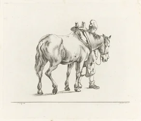 Man Walking Next to a Horse