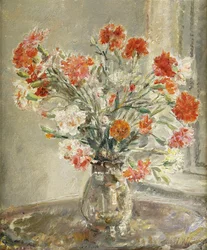 Carnations
