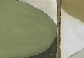 Calm Organic Abstract