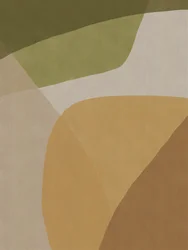 Echo