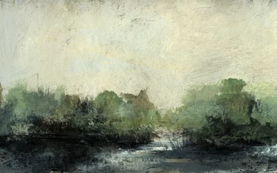 Forest Stream
