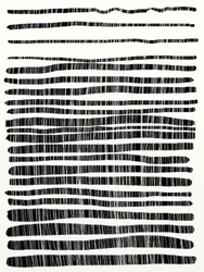 Lines