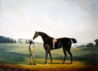 A horse and groom in the grounds of Hooton Hall, Cheshire