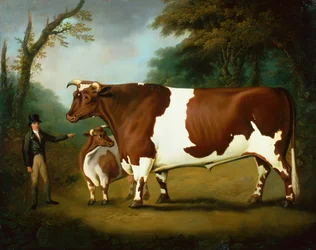 An Ox and its Owner, with a Heifer, in a Wooded Landscape