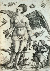 Voluptas