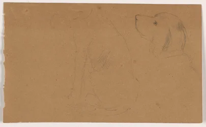 Dash (a Setter), Head and Body, ca. 1862