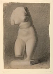 Female Torso from a Plaster Cast