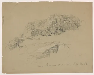 Rock Ledge near Chocorua Pond and Mountain
