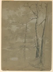 Study of Hemlock and Beech, White Lake