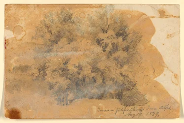 Study of Trees, Geneva