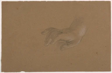 Study of a Right Hand