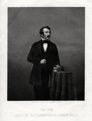 David Livingstone, Scottish Missionary and African Explorer, 1880