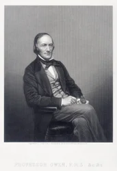 Sir Richard Owen, English Zoologist, c1860