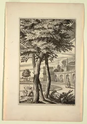 Plate in Nouveaux Livre de Paysages (New Book of Landscapes)