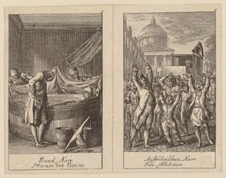 Sheets 5 and 6 for Centifolium Stultorum, Follies