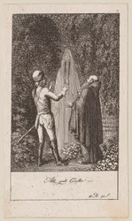Plate 7 for Blumauer