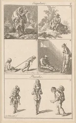 Singularis V