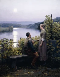 A Summer Evening