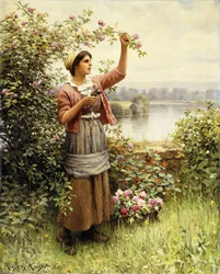Cutting Roses Along the Seine