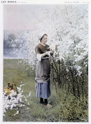 Spring: Woman Collecting Flowers - Illustration by R. Knight, circa 1905