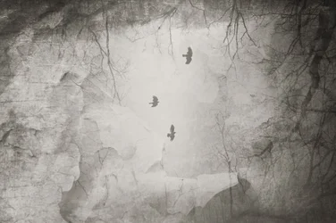 Ethereal Birds Winter Flight