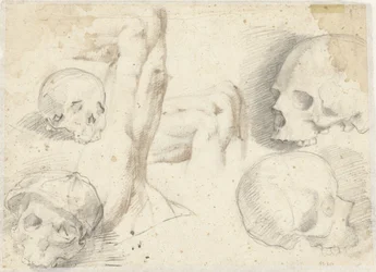 Four Studies of a Skull