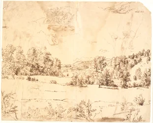 A Forest Meadow between Tree-Covered Hills