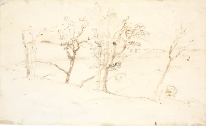 Jutland Landscape. Lakes Between Hills