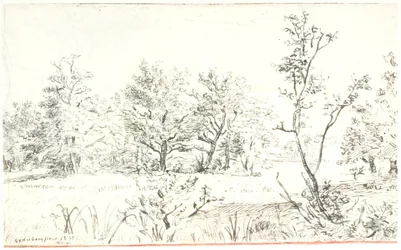 Landscape with Forest and Meadow