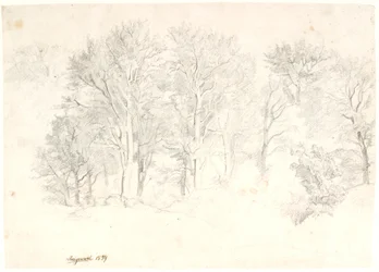 Study of Trees