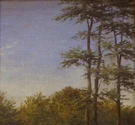 Study of Undergrowth and Tall Trees, Funen