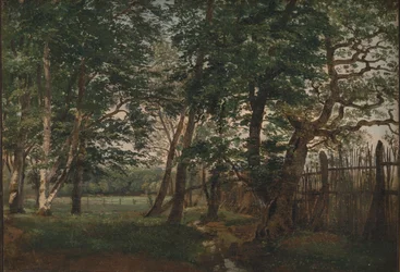 The Deer Park North of Copenhagen